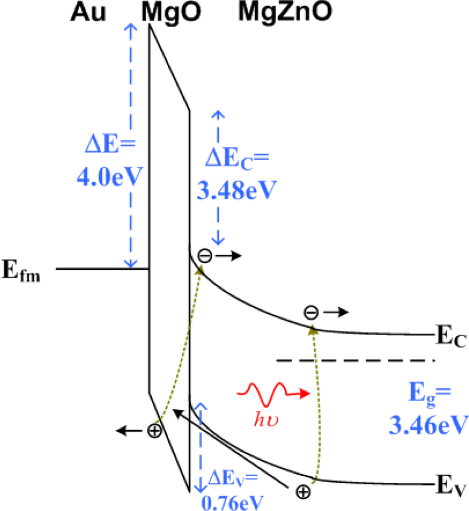 Sensors Free Full Text Metal Insulator Semiconductor Photodetectors Html