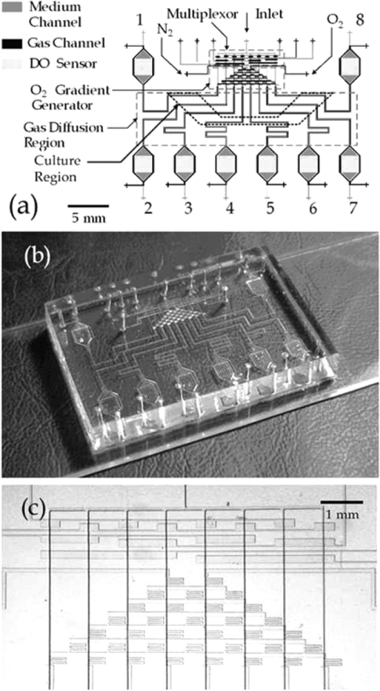 Sensors 10 09286f7