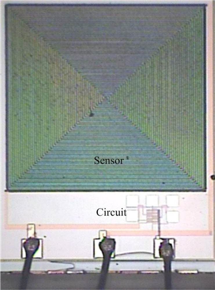 Sensors 10 10095f6 1024