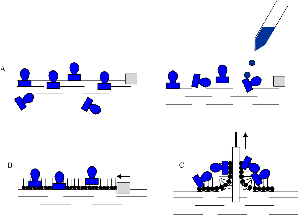 Sensors 10 10298f1 1024