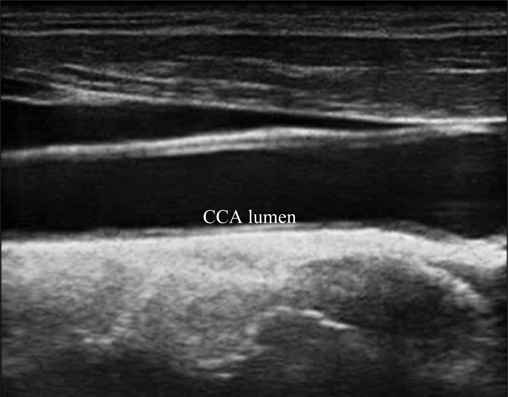 Sensors 10 10601f2 1024