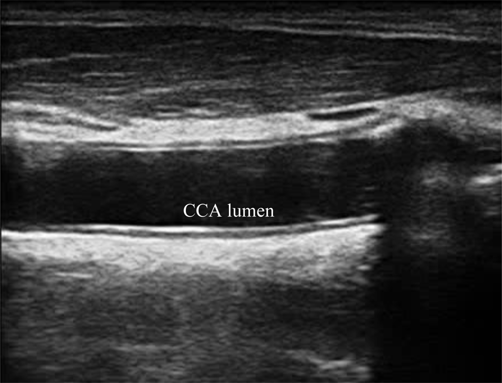Sensors 10 10601f3 1024