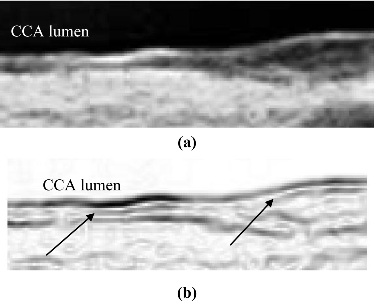 Sensors 10 10601f4a 1024