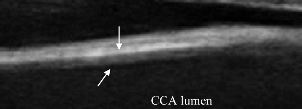 Sensors 10 10601f5 1024