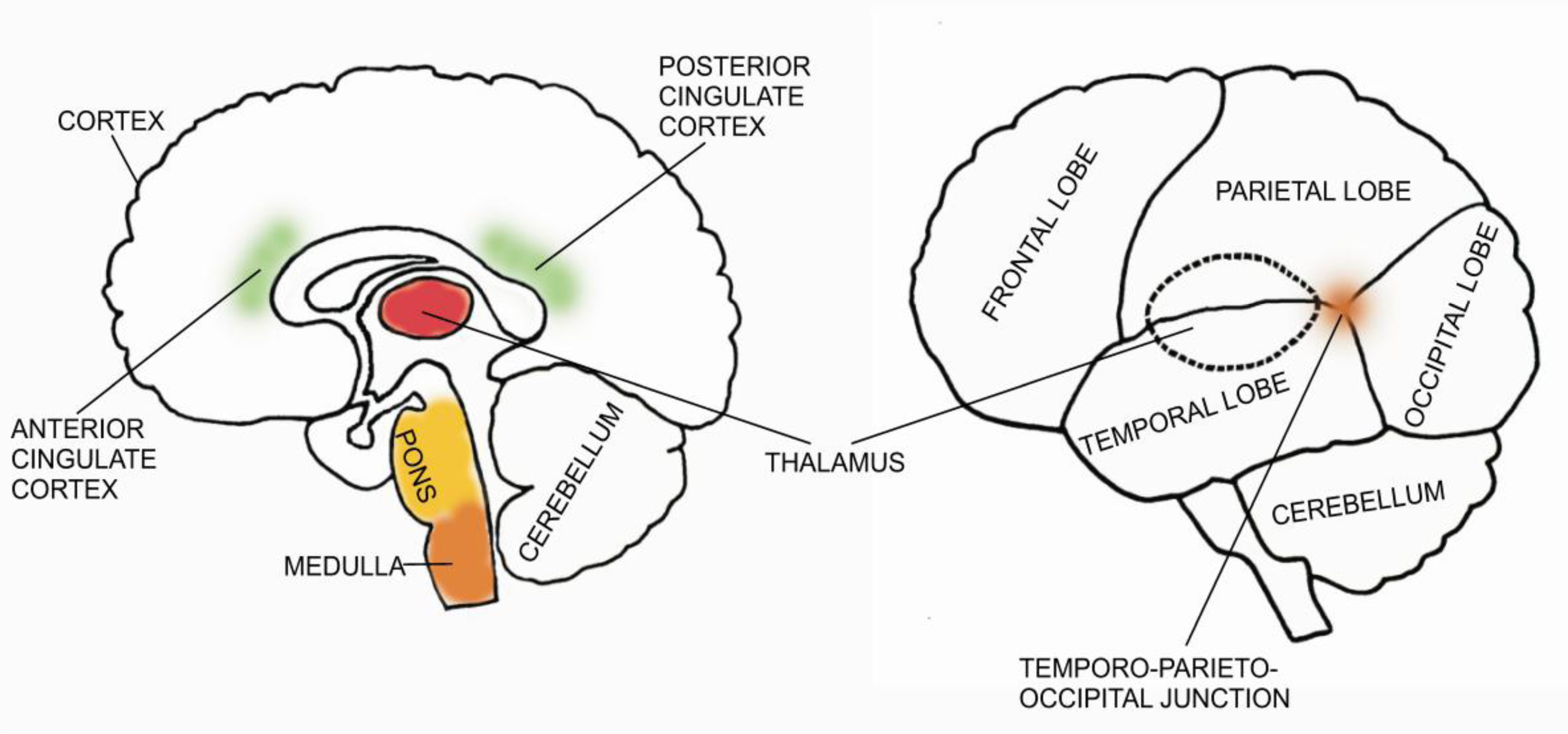 Sensors 10 10896 v2f2 1024