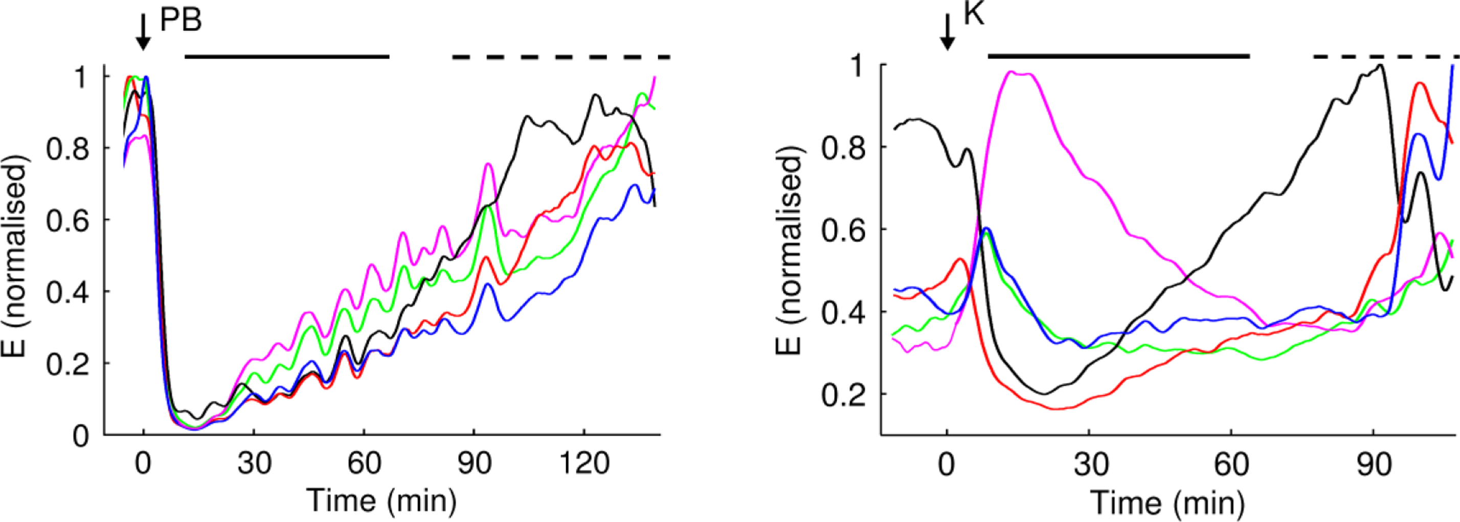 Sensors 10 10896 v2f3 1024