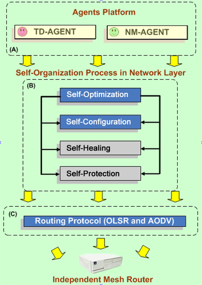 Protected route. Self Organization. Self optimizing Network. Self organizing Map.