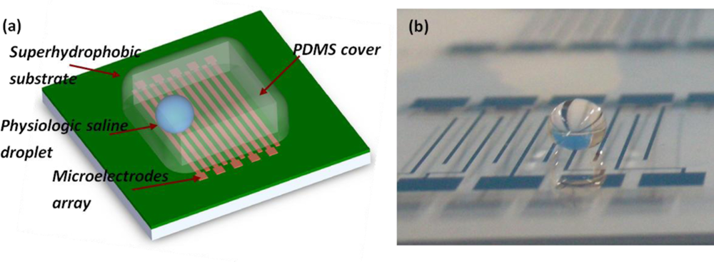 Sensors 11 00638f8 1024