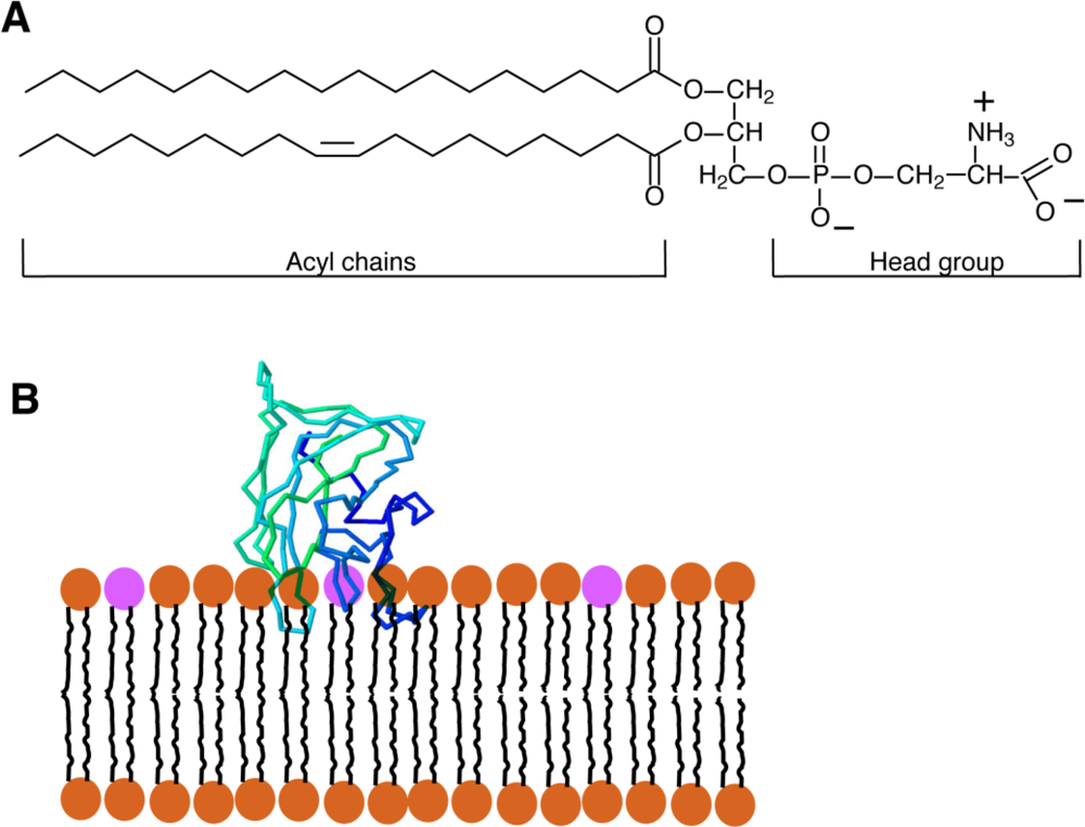 Sensors 11 01744f1 1024
