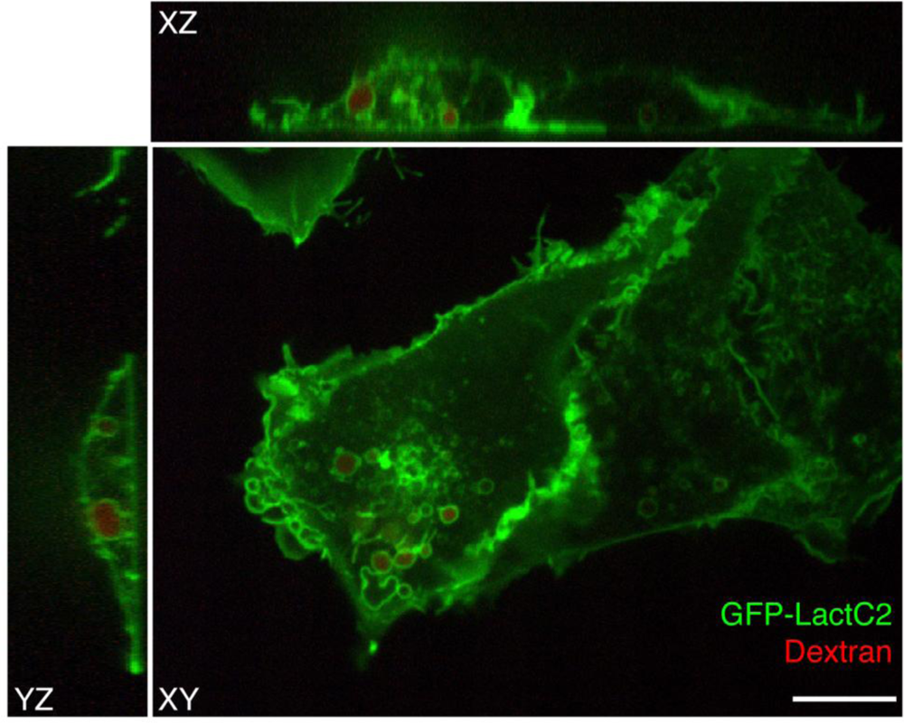 Sensors 11 01744f2 1024