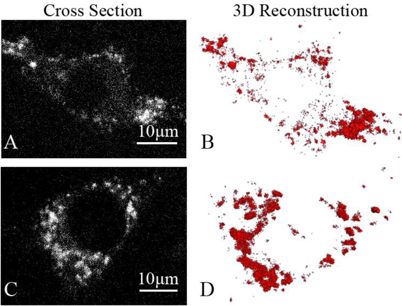 Sensors 11 02077f2 1024