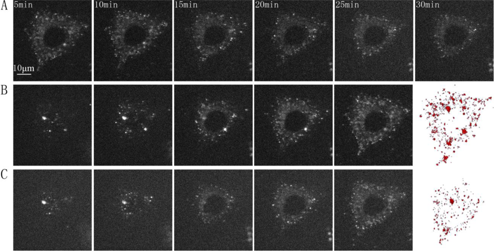 Sensors 11 02077f3 1024