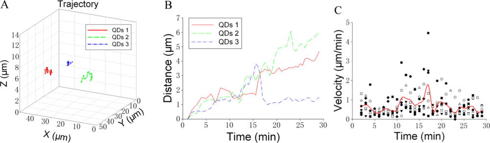Sensors 11 02077f5 1024