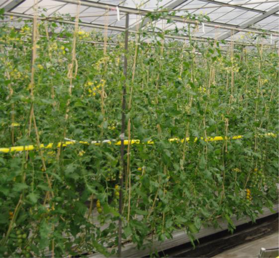 Sensors 11 02166f1 1024