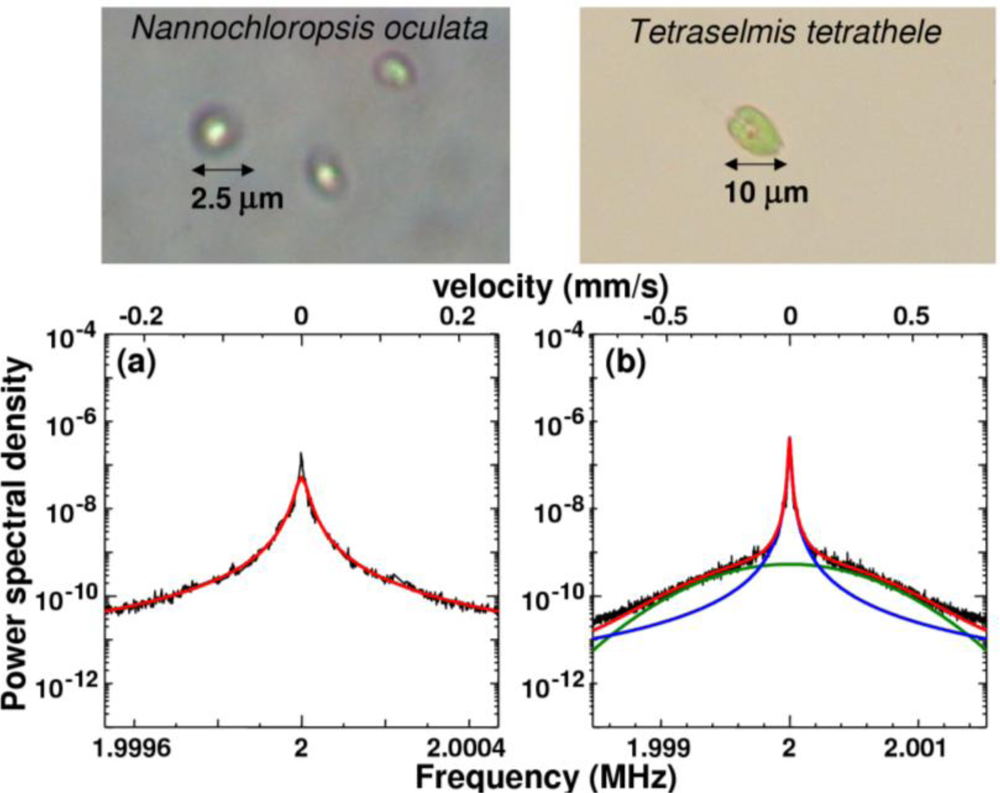 Sensors 11 02195f31 1024