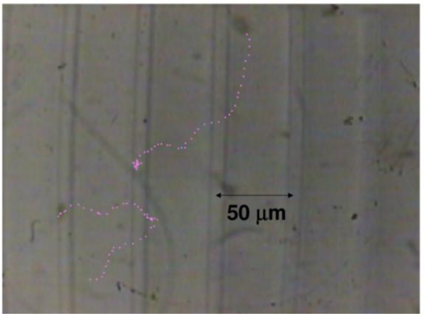 Sensors 11 02195f32 1024