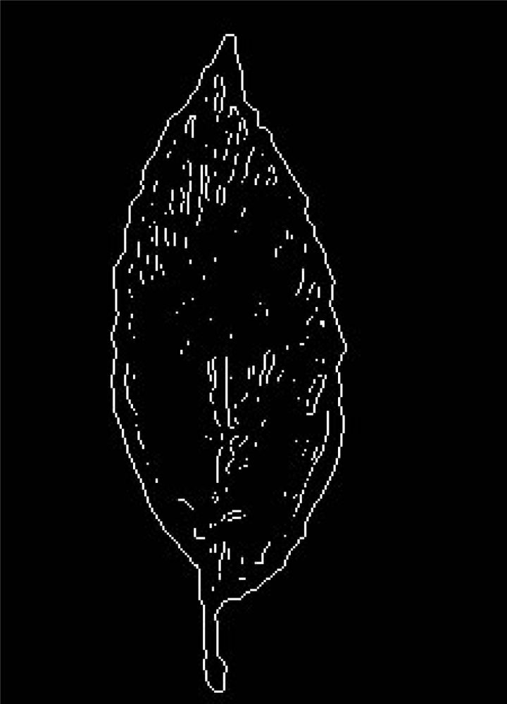 Sensors 11 02369f3 1024