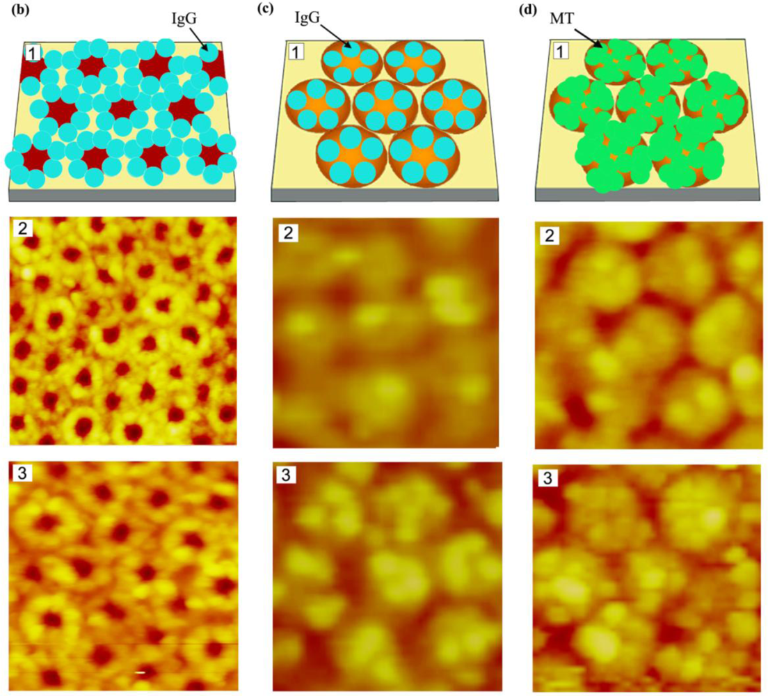 Sensors 11 03327f5b 1024