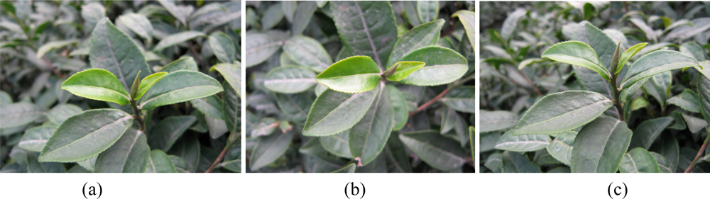 Sensors 11 03803f3 1024