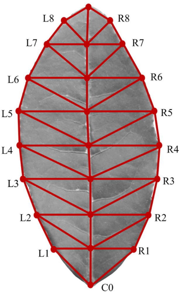 Sensors 11 03803f6 1024