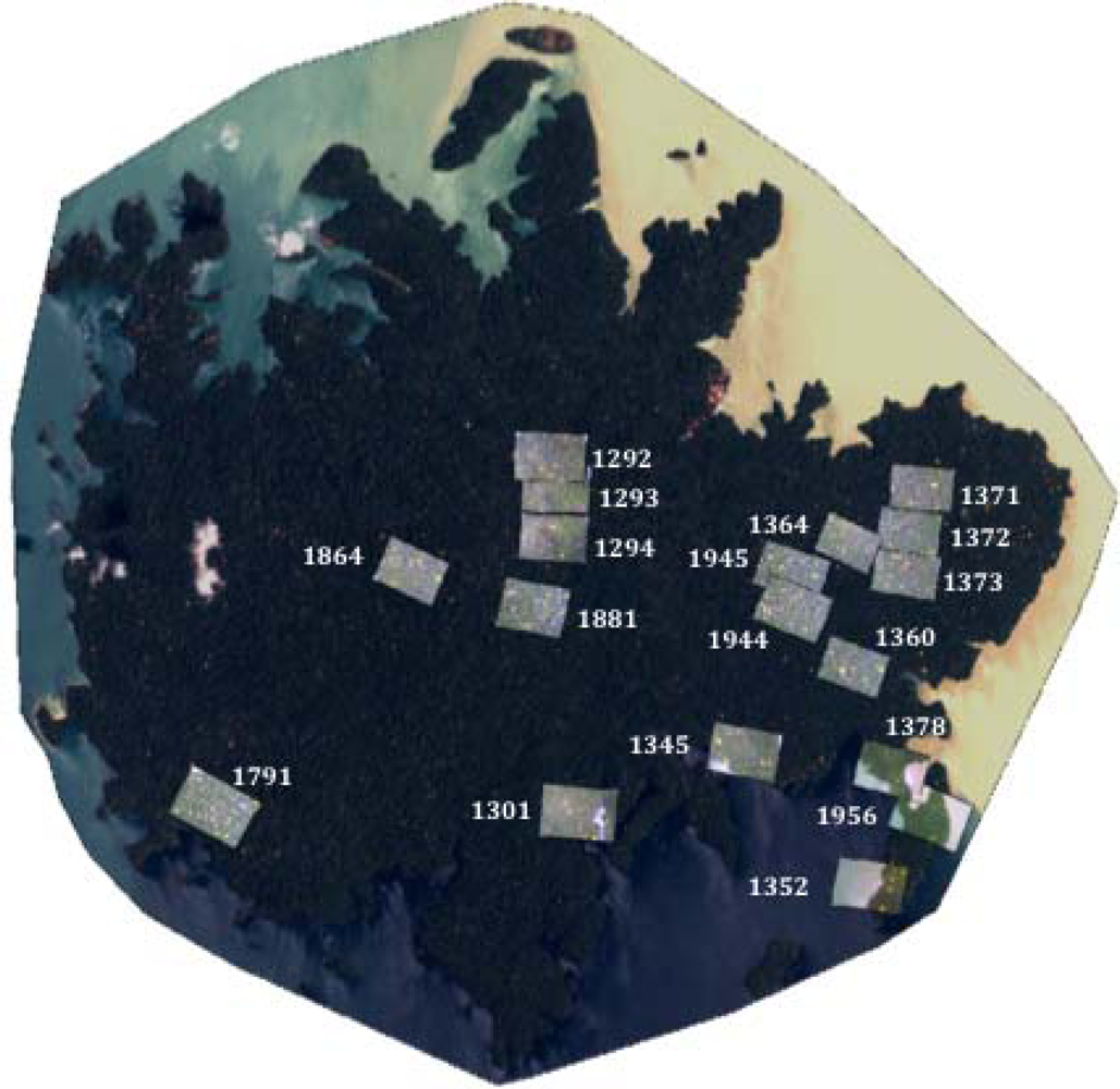 Sensors 11 03831f5 1024