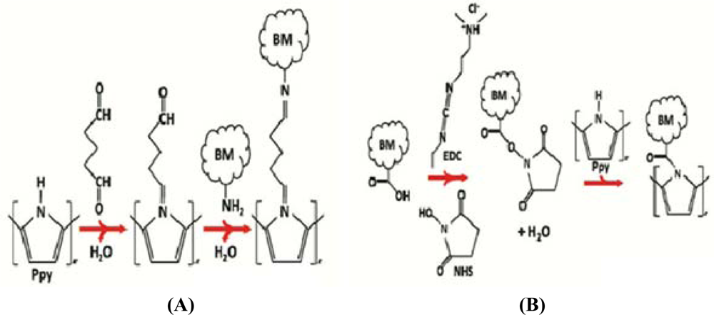 Sensors 11 05087f5 1024