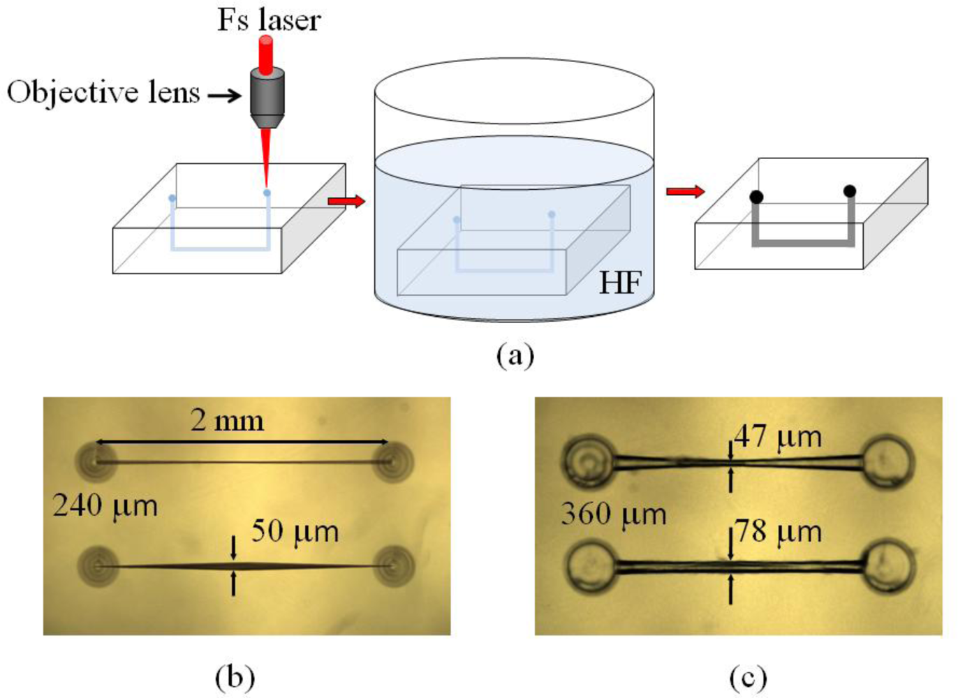Sensors | Free Full-Text | Microfabrication and Applications of Opto ...