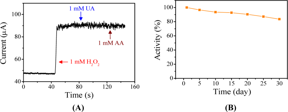 Sensors 11 05873f8 1024