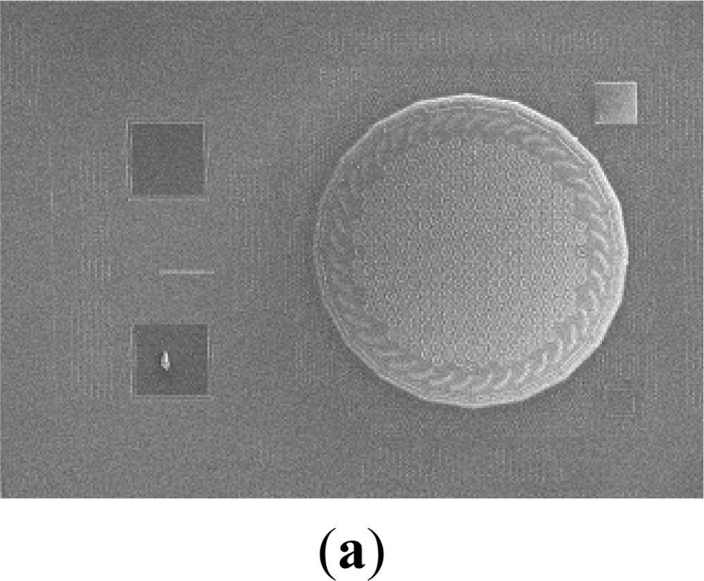 Sensors 11 06257f5a 1024