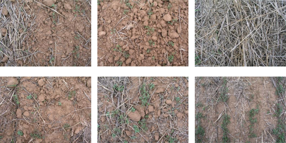 Sensors 11 06480f1 1024