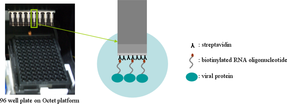 Sensors 11 06685f1 1024
