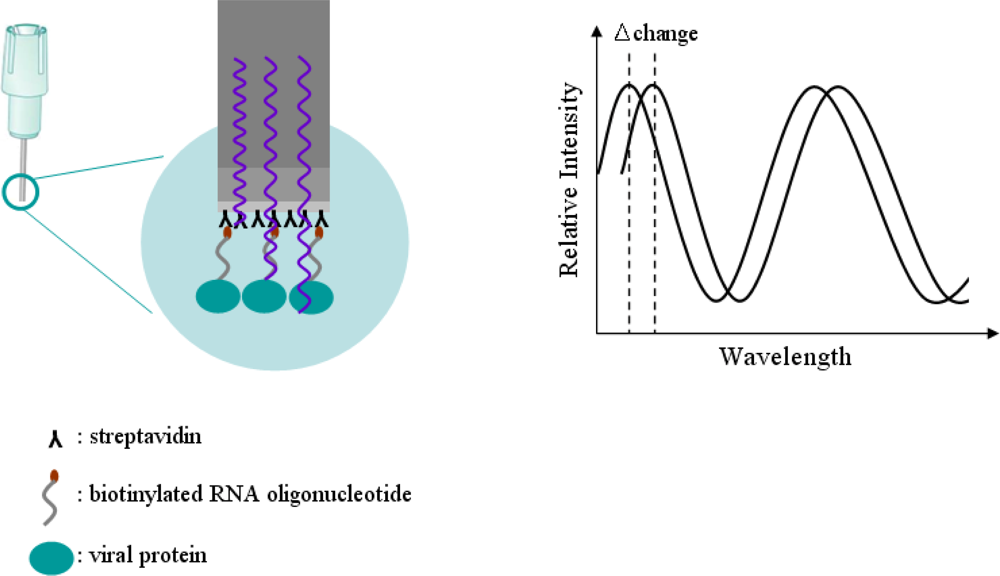 Sensors 11 06685f2 1024