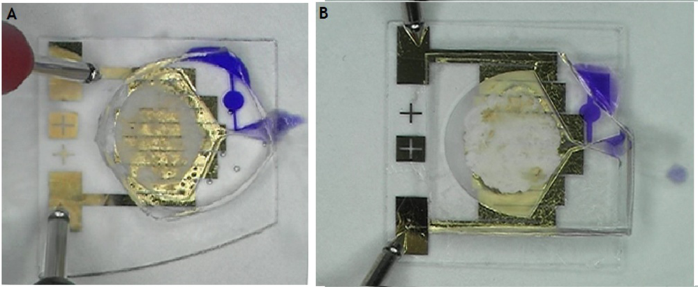 Sensors 11 06978f10 1024