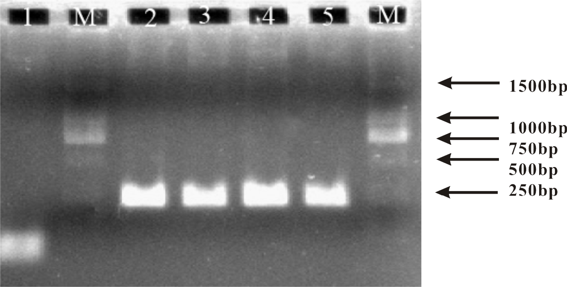 Sensors 11 08018f4 1024