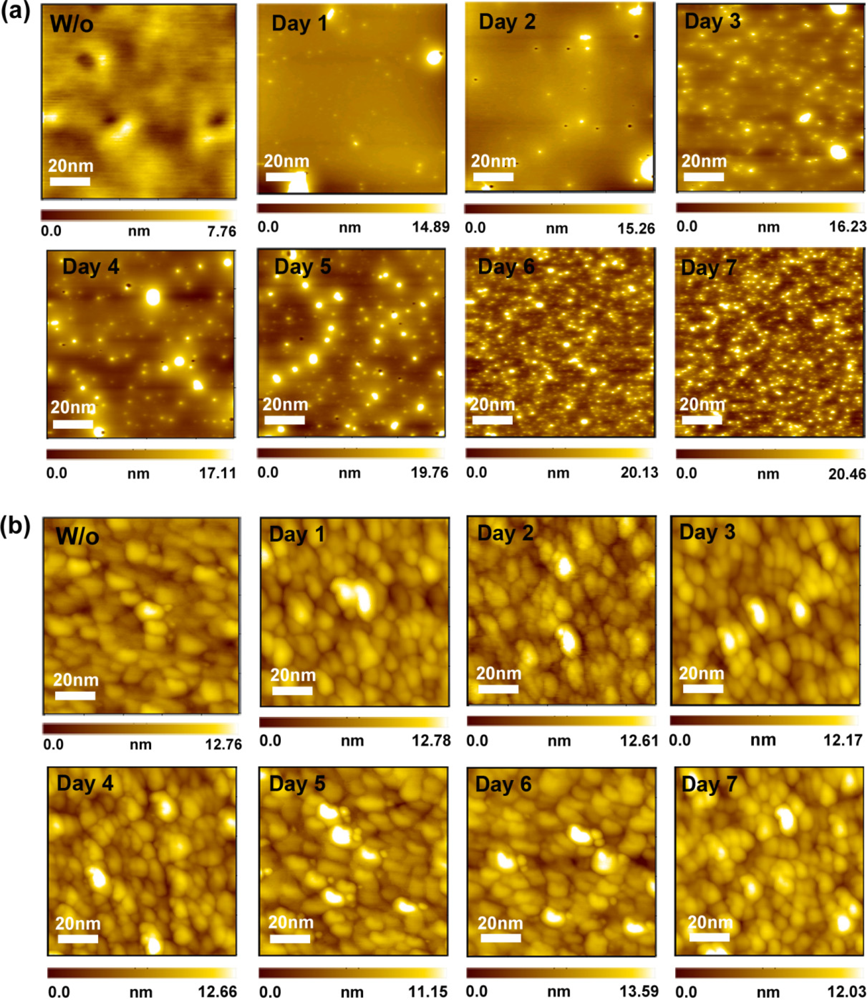 Sensors 11 08769f7 1024