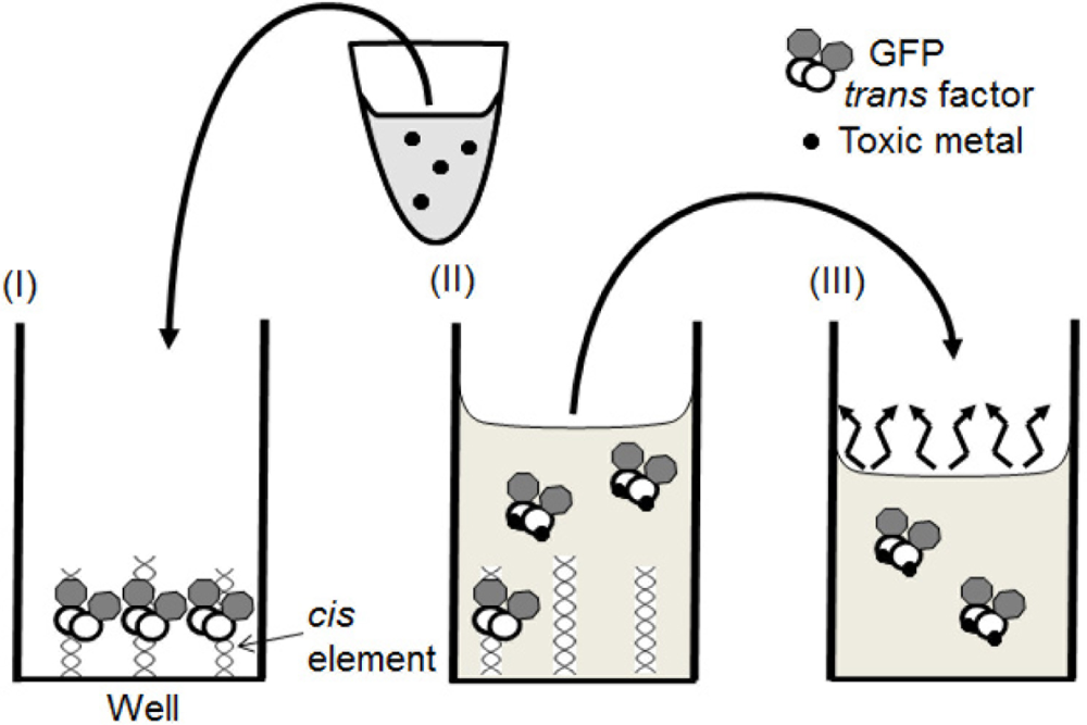 Sensors 11 10063f2 1024