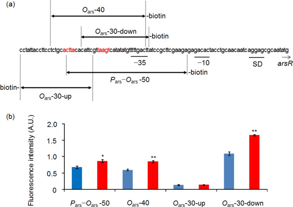 Sensors 11 10063f3 1024