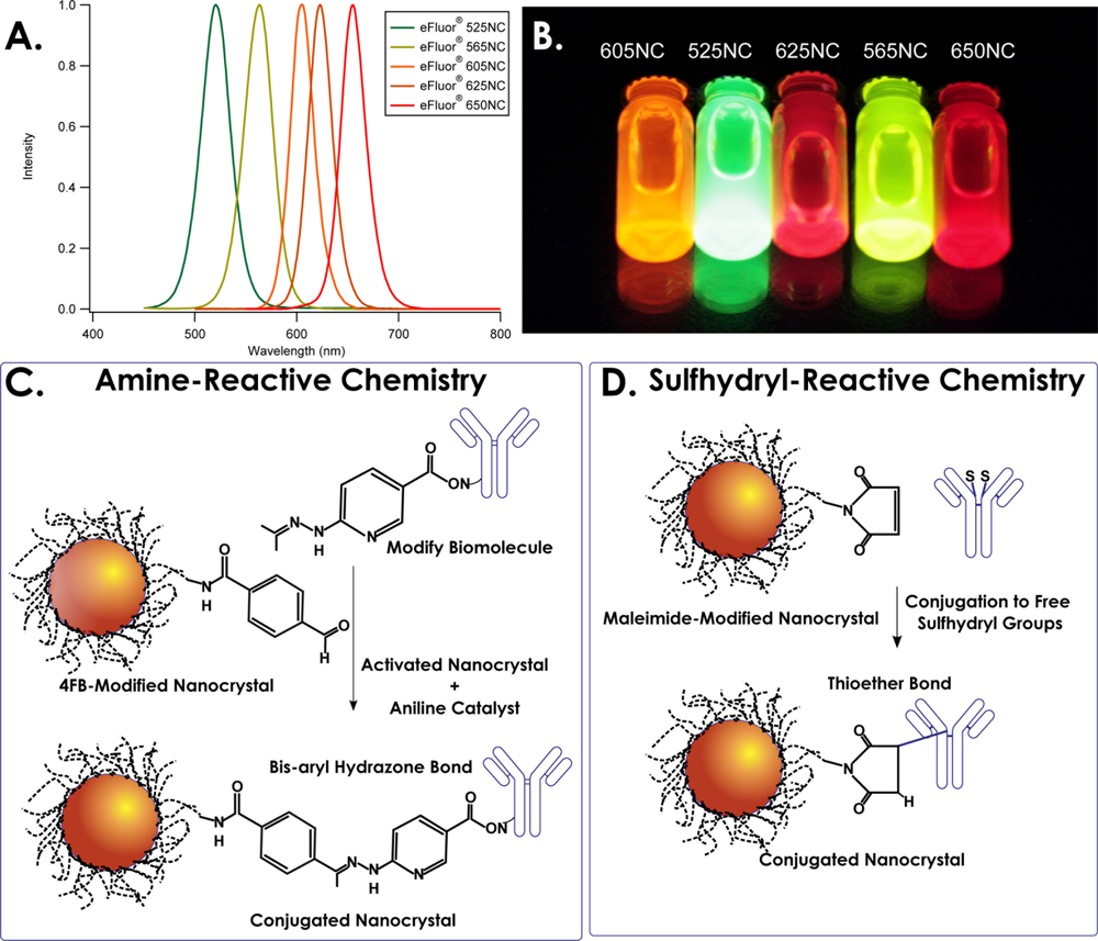 Sensors 11 10557f1 1024