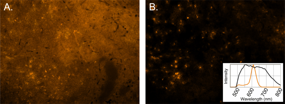 Sensors 11 10557f2 1024