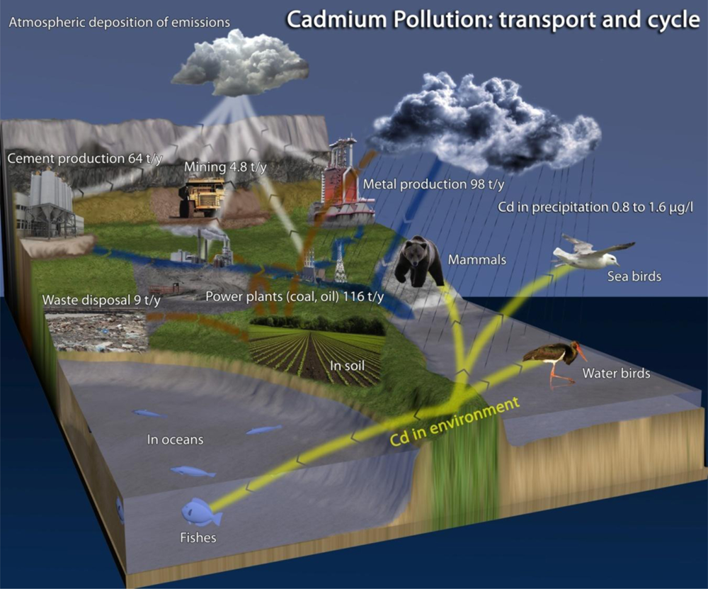 Sensors 11 10638f8 1024