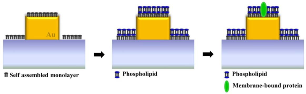 Sensors 11 10907f13 1024