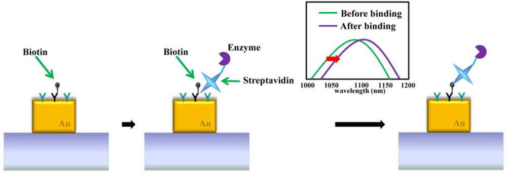 Sensors 11 10907f14 1024