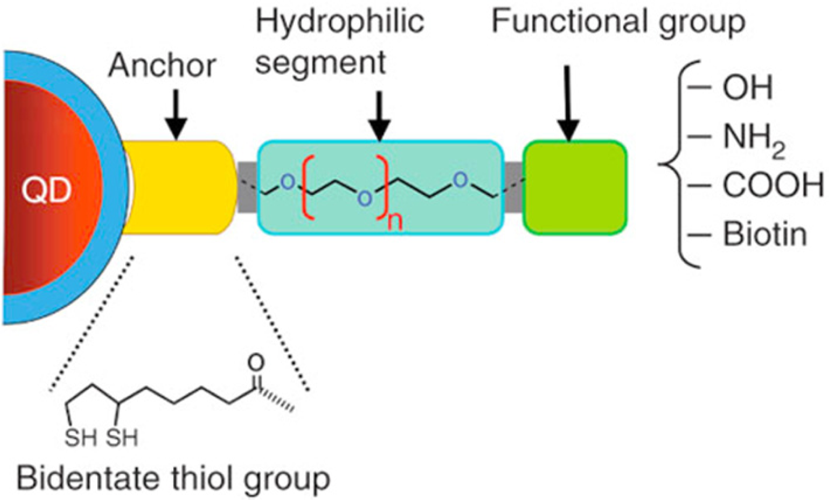 Sensors 11 11036f4 1024