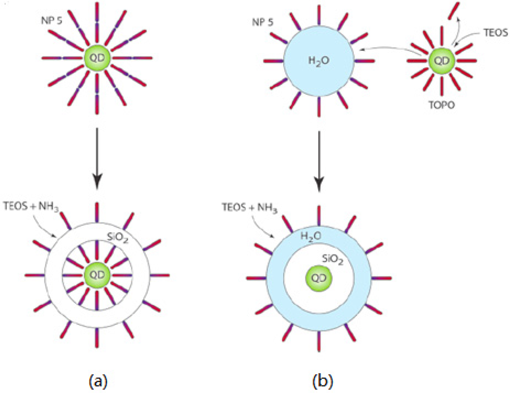 Sensors 11 11036f7 1024