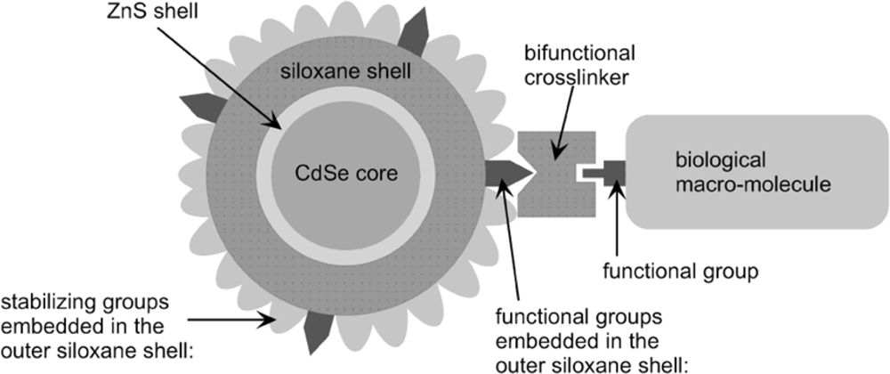Sensors 11 11036f8 1024