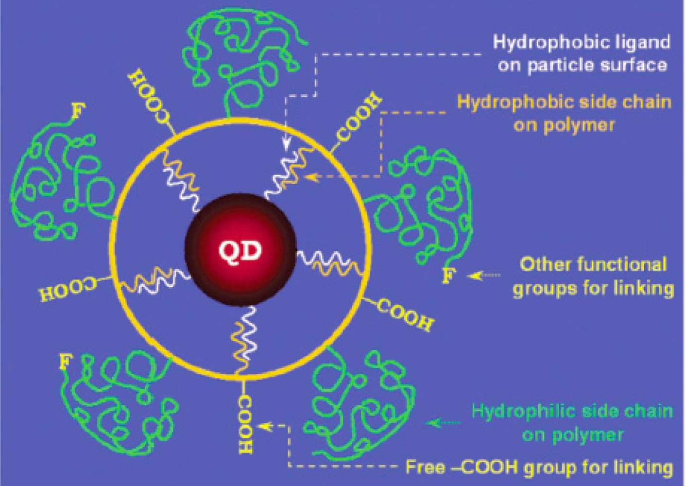 Sensors 11 11036f9 1024