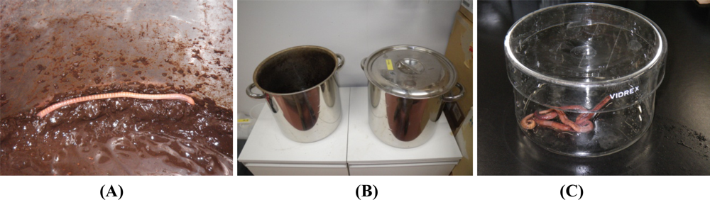 Sensors 11 11157f3 1024