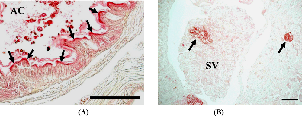 Sensors 11 11157f5 1024