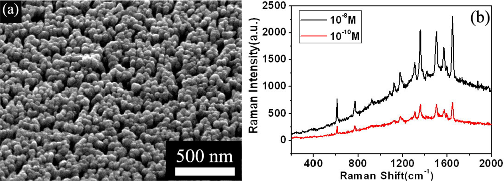 Sensors 11 11510f1 1024