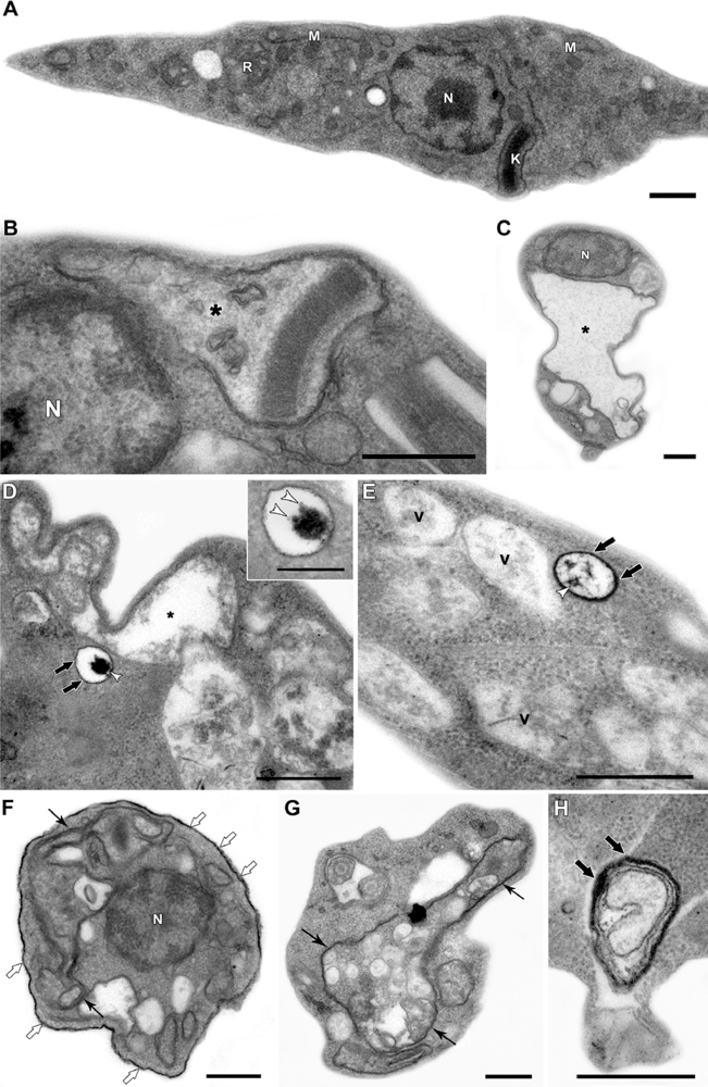Sensors 11 11664f3 1024
